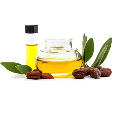 Organic Jojoba Oil