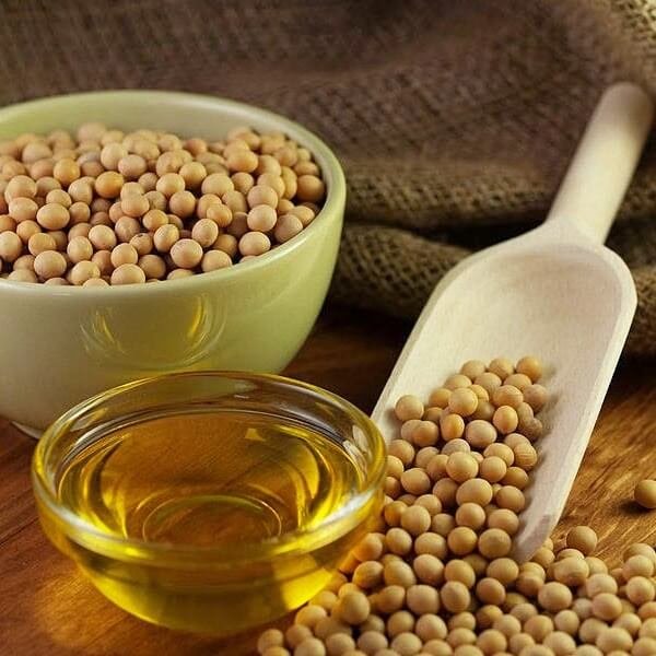 Organic Soybean Oil